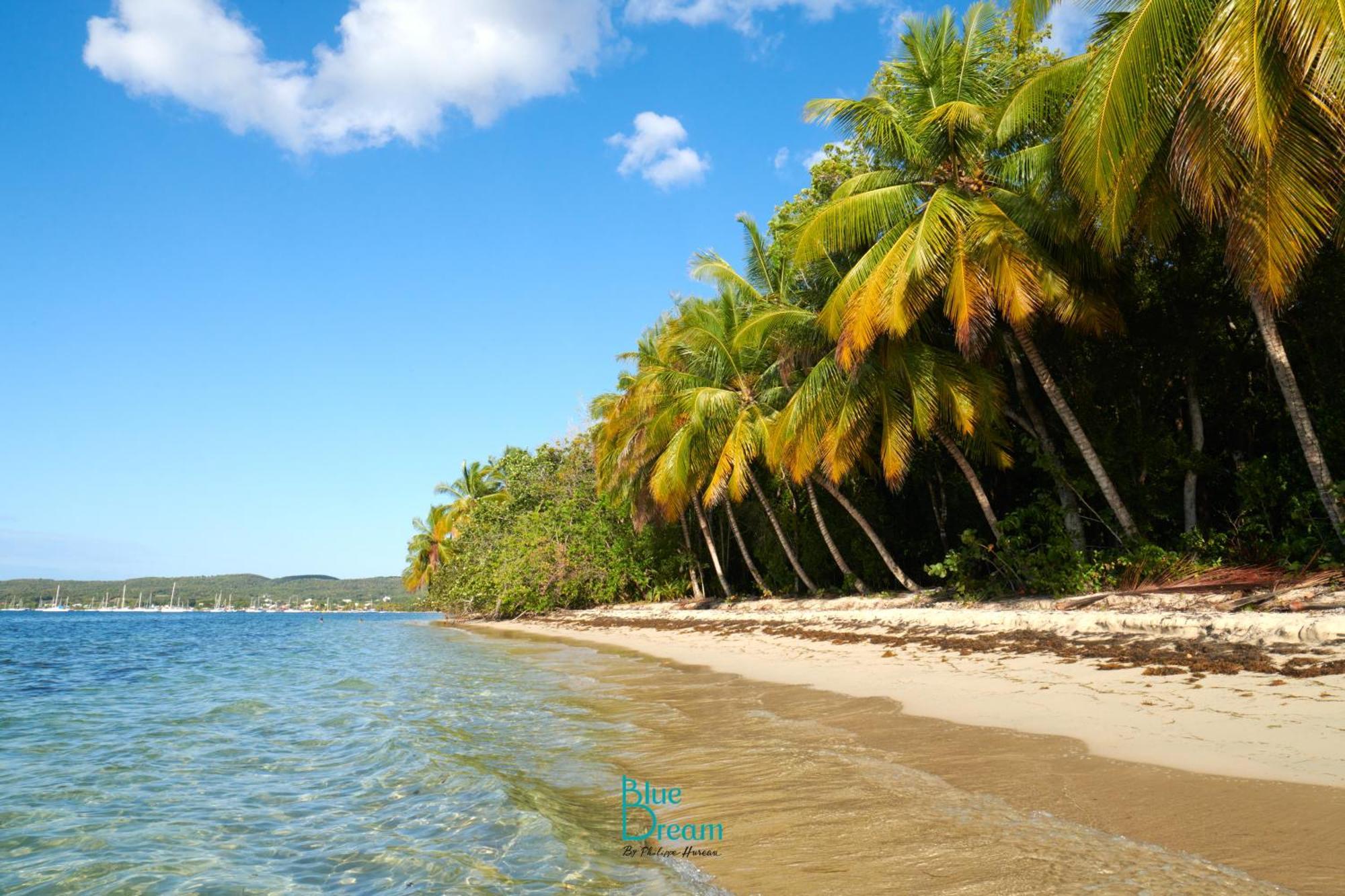 Kawan Nid - Tout Confort, Plage A 2 Min A Pied, Piscine, Wifi, Climatisation Grand-Bourg  Exterior foto